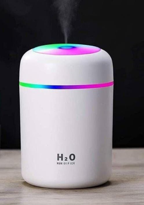 H2O Humidifier